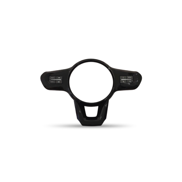 Steering Wheel Controls VF3